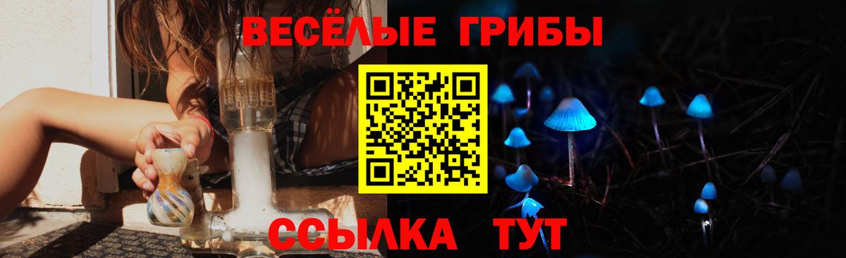 Ейск  Псилоцибиновые грибы ЛСД  Псилоцибиновые грибы ЛСД  Вход с VPN 
